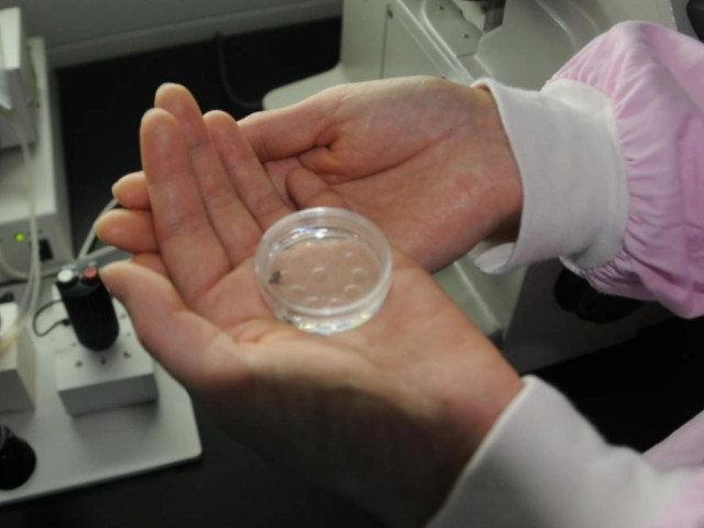 洛陽二院試管成功案例試管嬰兒有哪些成功經驗?