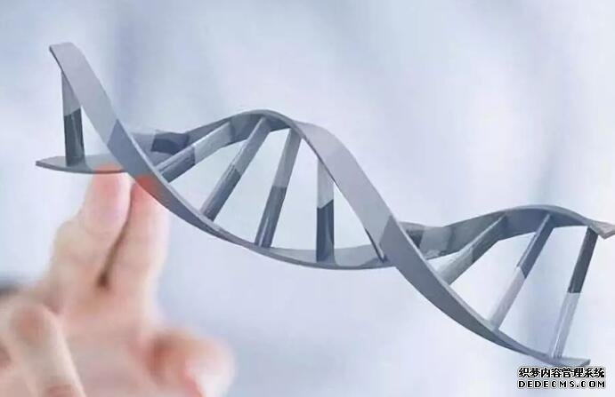 2023三代試管生男生女費用介紹，及影響成功率的因素