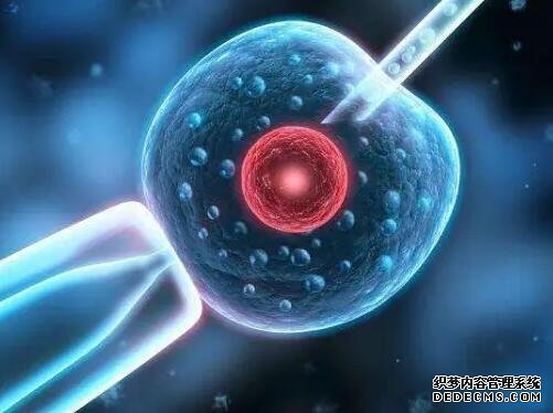 2023三代試管生男生女費用介紹，及影響成功率的因素