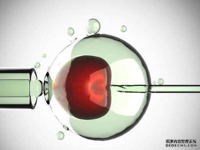 準確率100的生男生女公式是怎么樣的？_11373