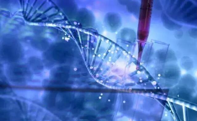 福州hiv代孕 福州三代試管哪里可以做? ‘女孩男孩四維彩超區(qū)別’