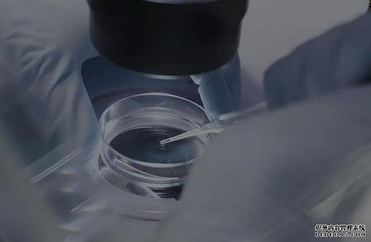 明明沒有月經(jīng)的感覺就是不到?可能是這4大層面出問題!