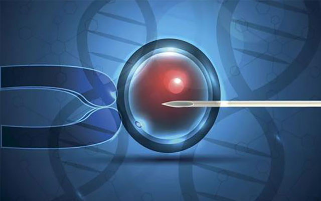 提升鄭大一附院試管嬰兒成功率的條件