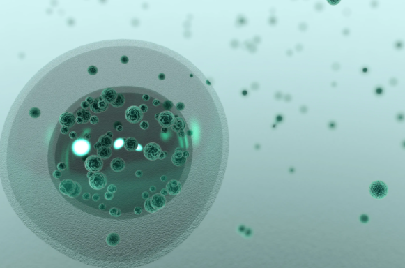 詳細介紹試管5天囊胚的著床過程！附胚胎分裂著床全過程