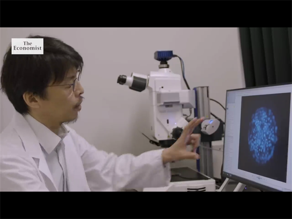 60歲絕經后還有做試管的可能嗎？高齡絕經女性做試管面臨的風險