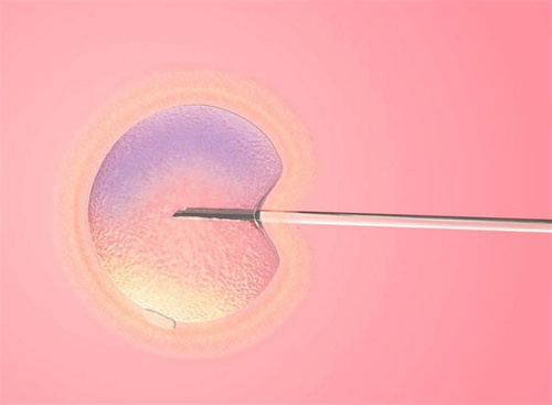 試管促排果納芬的價格一覽！附注射果納芬的注意事項