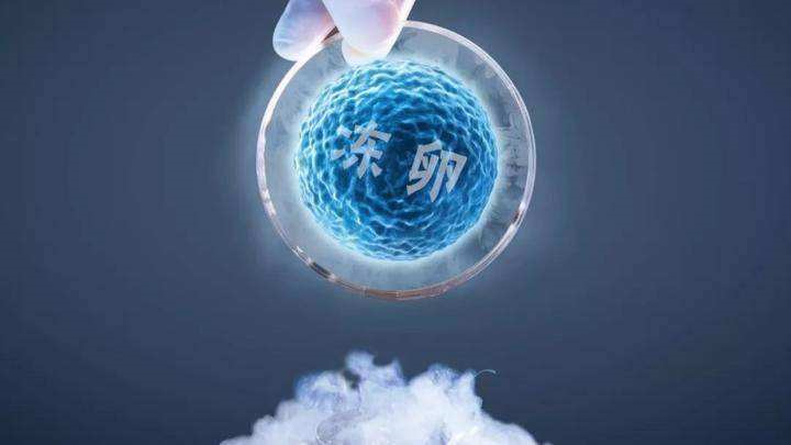 試管嬰兒解凍胚胎收費是多少錢？2025年解凍胚胎的額外收費