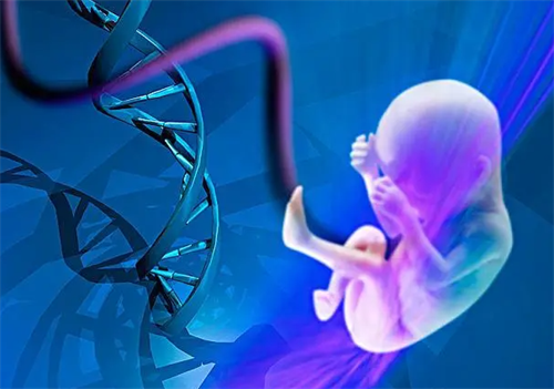 三代試管養囊后送檢要多久？2025年三代試管養囊后的送檢步驟