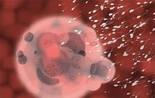 什么是第四代試管嬰兒技術(shù)？第四代試管技術(shù)有什么優(yōu)勢