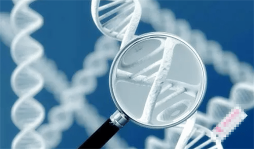 三代試管嬰兒可以篩查魚鱗病嗎？盤點三代試管基因篩查適應癥