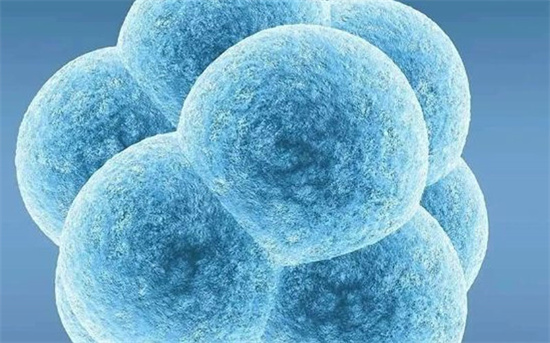 試管供卵醫院的選擇指南！2025年注重專業服務與患者安心