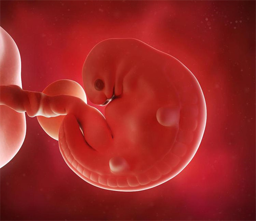 三代試管嬰兒助健康家庭圓夢(mèng)！2025年生育安全新保障