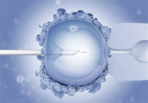 2025國內供卵試管嬰兒合法嗎？全面解讀政策與實踐