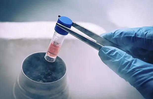 國內供卵試管機構的現狀與選擇！2025供卵試管的流程與注意事項