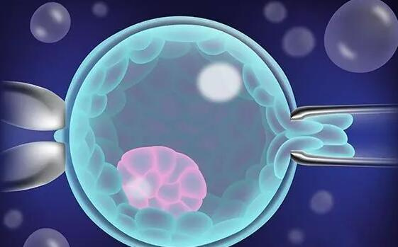 2025西藏拉薩試管嬰兒醫院名單！附拉薩阜康醫院試管成功率和費用