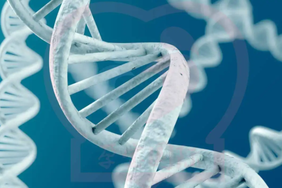 整理石家莊能做三代試管的醫院！附石家莊做試管的醫院及收費情況