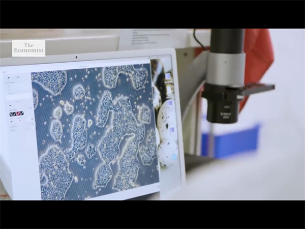 北醫三院做試管嬰兒需要多久？促排卵方案會影響試管嬰兒周期嗎