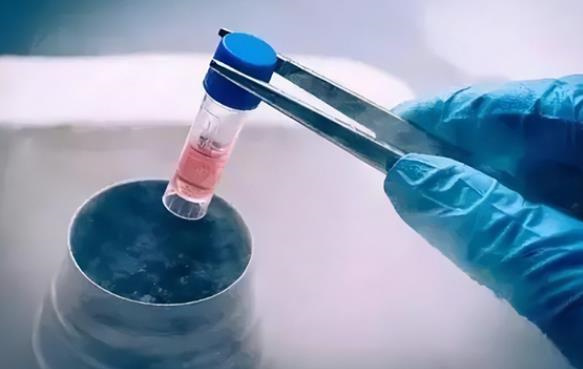 拮抗劑方案為什么夜針打達必佳？附夜針注射達必佳的注意事項