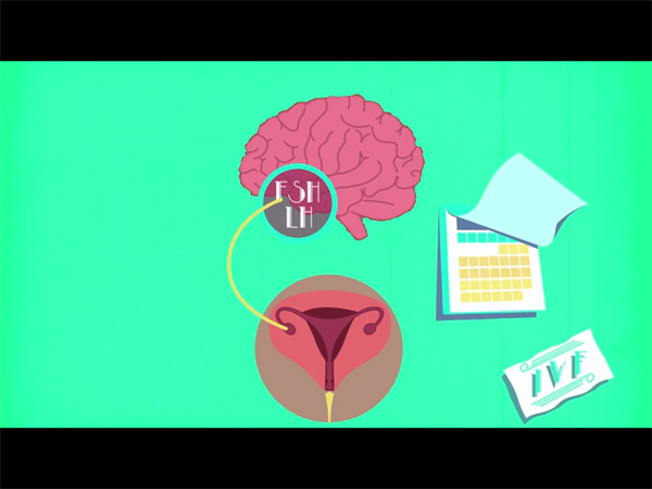 2025格魯吉亞試管中介常見騙局！附辨別真假試管中介的方法