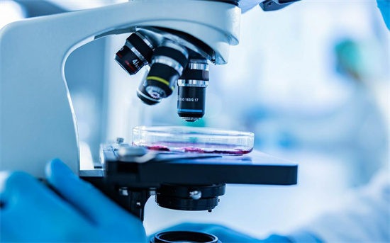 提高試管嬰兒移植率的方法匯總!優(yōu)質(zhì)胚胎是不是最好的胚胎