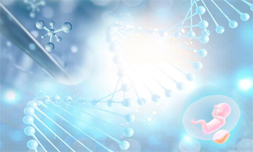 哪些因素決定著試管嬰兒的成功?9大因素試管夫妻一定要了解