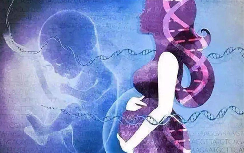 試管嬰兒生的孩子會有哪些缺陷？從科學角度詳細說明