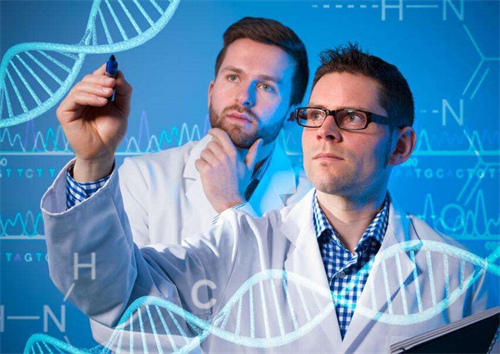 精子碎片率高做三代試管有何解決方法?2025年三代試管嬰兒技術(shù)如何