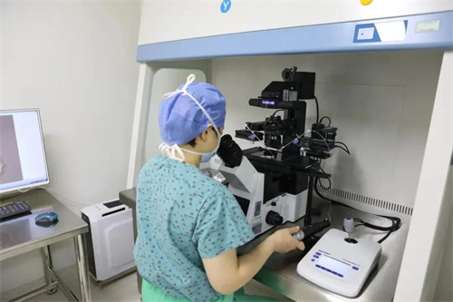 染色體缺失做試管要多少錢？附染色體缺失做試管嬰兒收費標準