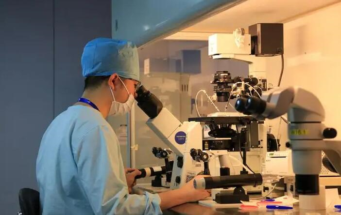 有胚胎二次移植大概需要多少錢？解析有胚胎第二次移植收費明細