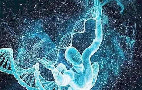 8細胞1級胚胎是不是優質的？解讀8c1胚胎移植后的成功率多少