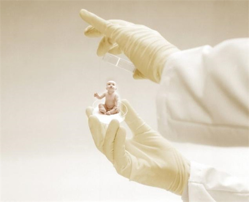 試管助孕生一對龍鳳胎需要多少錢?2025年最新收費(fèi)標(biāo)準(zhǔn)已出爐