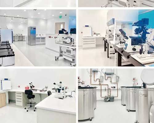 上海做試管的私人機構地址，這幾家助孕機構挺不錯