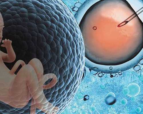 做試管前為什么要查染色體