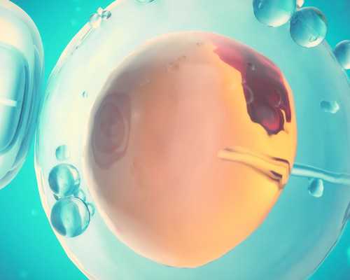 大同試管嬰兒雙胞胎的那些事兒