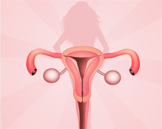 做試管嬰兒內膜轉c才移植胚胎是為何？4點原因為你揭曉