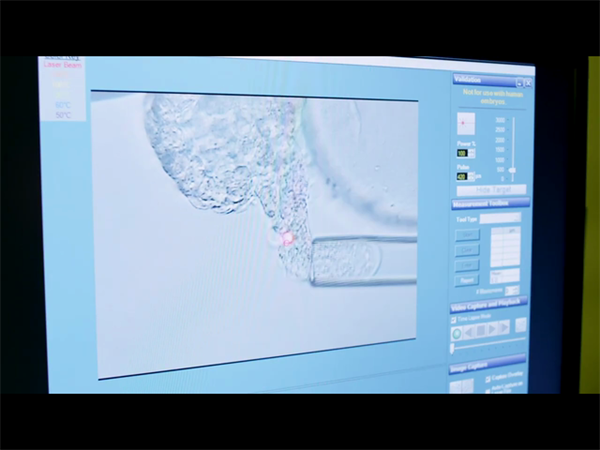 南昌試管嬰兒助孕機構有哪些？2025熱門試管嬰兒助孕機構推薦