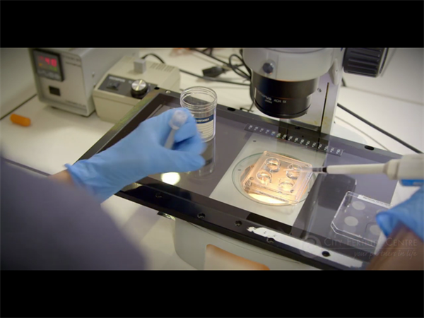 單身女性也能做試管嬰兒？盤點全球合法國家，快收藏！