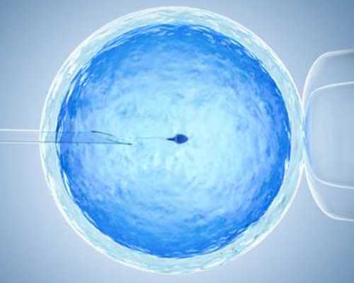 江蘇試管嬰兒醫保能報多少？費用和比例都在這