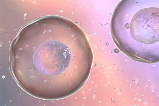 養(yǎng)囊成功后優(yōu)質(zhì)囊胚的評分標準參考!養(yǎng)囊成功是否都是健康胚胎