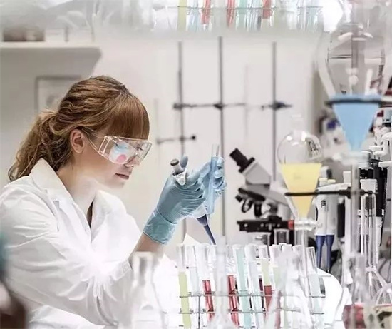 試管養(yǎng)囊成功后移植成功率多少？不同等級(jí)囊胚的成功率情況介紹