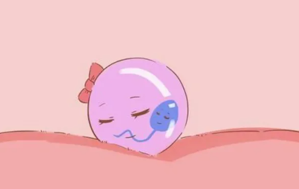 amh0.26試管嬰兒能不能成功？amh0.26是否可以做供卵試管嬰兒