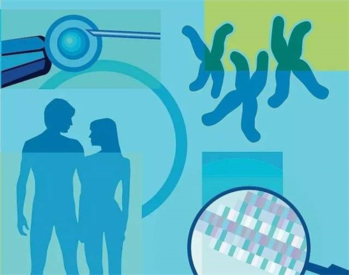 試管嬰兒長方案和超長方案怎么選？一文讀懂區別與選擇