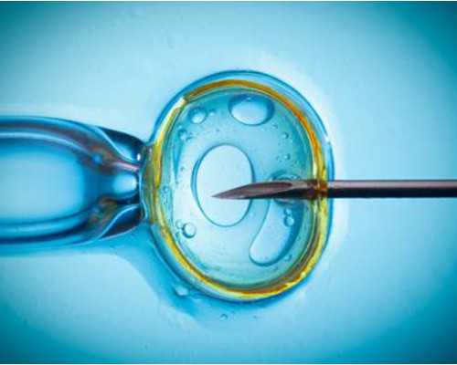 荊門試管嬰兒醫院告訴你,做試管嬰兒的完整過程 荊門試管嬰兒醫院告訴你,做試管嬰兒的完整過程