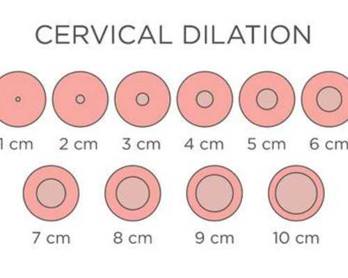 在福州公立醫院做三代試管要花多少錢 在福州公立醫院做三代試管要花多少錢