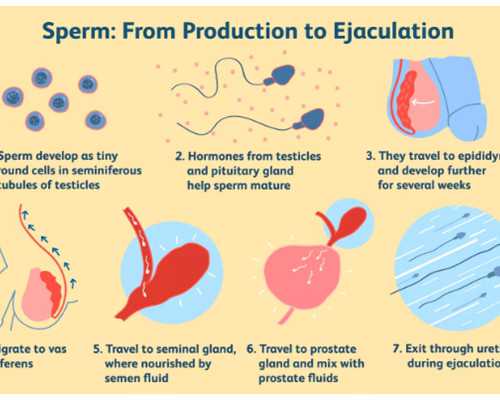 誰適合做第二代試管嬰兒？了解它的好處和不足