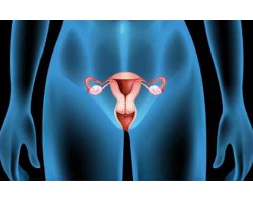 在成都做試管嬰兒要花多少錢