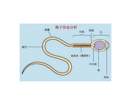 承德做試管嬰兒要花多少錢，以及需要注意什么