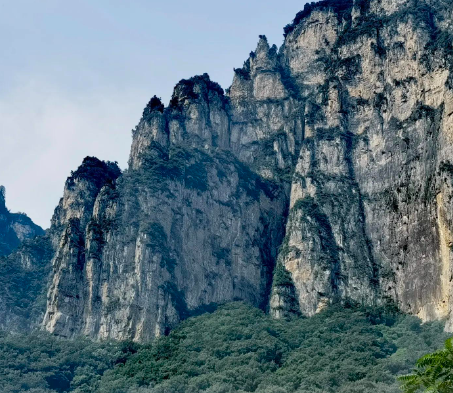 【試管問答】移植后飲食有什么禁忌？_梅州黃塘醫(yī)院做試管嬰兒成功率高嗎