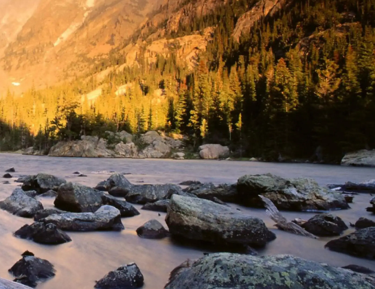 孕婦全外顯子基因檢測，這些機構可以去！